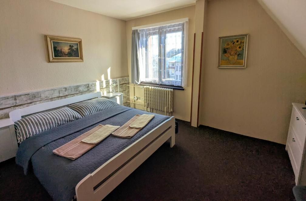 Hotel Alfa Trutnov Exterior foto